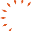 sun burst logo orange